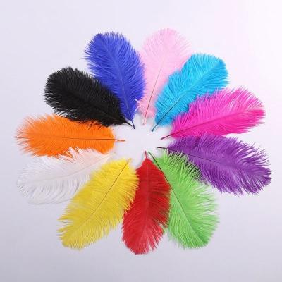 China Artificial Bulk Party/Wedding/Carnival/Grament Decoration Ostrich Feathers White And Dyed Colors 15-20cm For Cheap Sale for sale