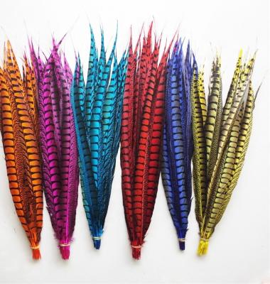 China Pheasant Feather 35-40inch Straight Dyed Lady Amherst Pheasant Feather Centerpieces Colorful Long Plumas De for sale