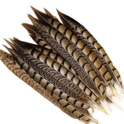 China Cheap Natural Lady Amherst Pheasant Tail Party/Wedding/Sale 20-25cm Carnival Decoration/Grament Feather For Carnival Dance Props Decoration for sale