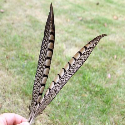 China Cheap Natural Lady Amherst Pheasant Tail Party/Wedding/Sale 25-30cm Carnival Decoration/Grament Feather For Carnival Dance Props Decoration for sale