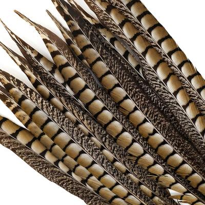 China Cheap Natural Lady Amherst Pheasant Tail Party/Wedding/Sale 35-40cm Carnival Decoration/Grament Feather For Carnival Dance Props Decoration for sale