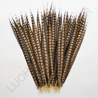 China Cheap Natural Lady Amherst Pheasant Tail Party/Wedding/Sale 50-60cm Carnival Decoration/Grament Feather For Carnival Dance Props Decoration for sale