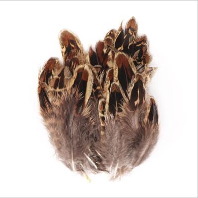 China Wholesale Pheasant Feather 100pcs/bag Hen Chicken Fowl Pheasant Feathers Band For Decoration for sale