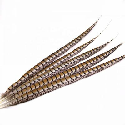 China Feather 30-35inch, 35-40inch long Lady Amherst Pheasant Feather Centerpieces De pheasant feathers for sale