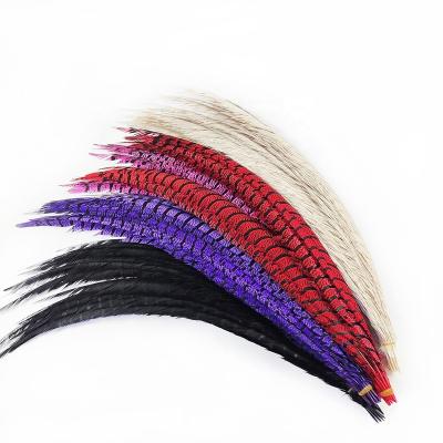 China Pheasant Feather 80-90cm 90-100cm Quality Feathers Dyed Straight Lady Amherst Zebra Pheasant Tail Feather Plumas Carnival Festival Decoration for sale