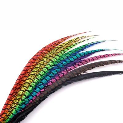 China Lady Natural Dyed Zebra Pheasant Tail Party/Wedding/Hot Selling Carnival Decoration/Grament Feather For Carnival Decoration for sale