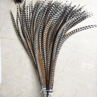 China Party/wedding/hot selling natural chiefs pheasant tail feather carnival decoration/grament for carnival decoration for sale