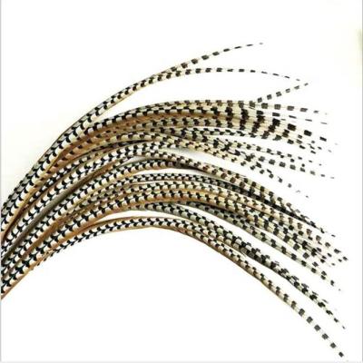 China Natural Dyed Pheasant Feather 20-180cm Quality Pheasant Tail Feather Plumas Carnival Festival Decoration for sale