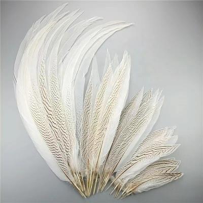 China Party/wedding/hot sale natural silver pheasant tail feather carnival decoration/grament for carnival decoration for sale