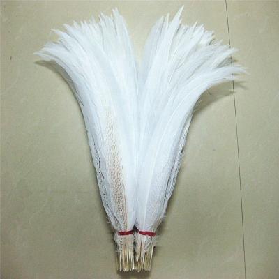 China Wholesale Dyed Silver Pheasant Feather 20-80cm Long Dyed Silver Tail Feather For Carnival Costumes for sale