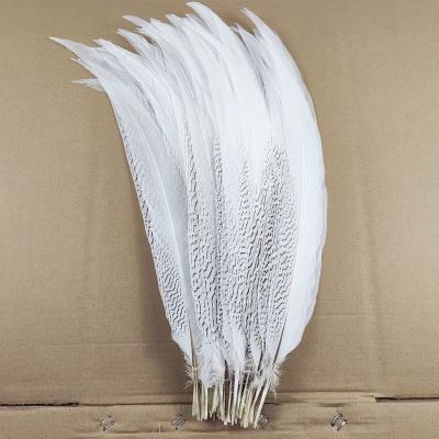 China Pheasant Feather 65-70cm Long Multi-colors Dyed Silver Pheasant Tail Feather For Brazil Carnival Costumes for sale