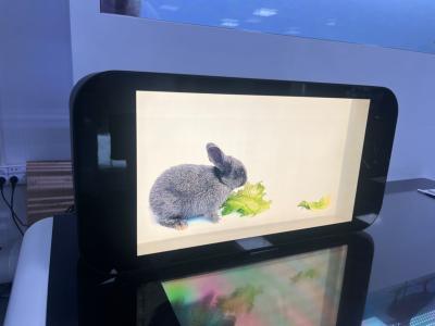 China 10.1-86 Inch Indoor 3D Hologram Interactive Video Holographic Touch Screen Box Transparent LCD Screen for sale