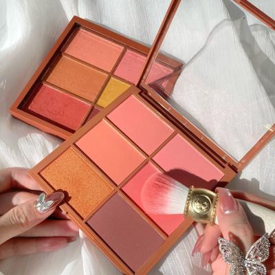 China High quality sunscreen blush palette private label highlighter and blush contour blush palette for sale