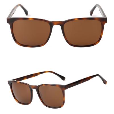 China Fashion Sunglasses GS5003 Tortoiseshell Pattern Amber Polarized Acetate Sunglasses for sale