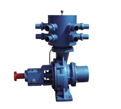 China Family Houses Suction Irrigation Water Pump for Different Capacity for sale