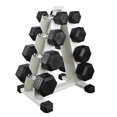 China Fitness Training PROIRON Dumbbell Rack For Sale Fitness Training Custom Color Rubber Dumbbell for sale