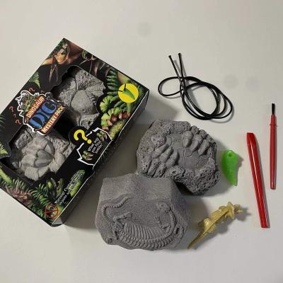 China Other Fossils Dig Kit Dinosaur Dig Kit Dinosaur Excavation Dinosaur Kit for sale