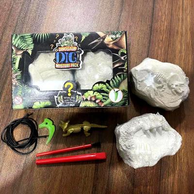 China 2 IN 1 Dinosaur Skeleton Set Dinosaur Dig Kit Dinosaur Excavation Kit Dinosaur Skeleton Kit for sale