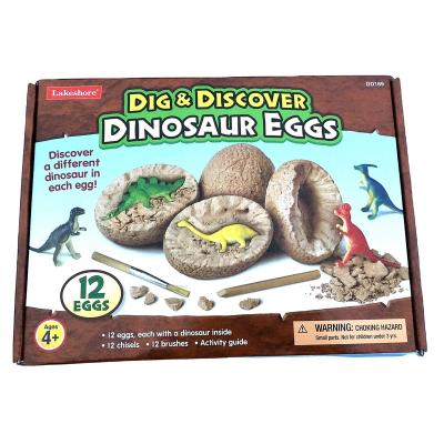 China The Other Dinosaur Egg Excavation Kit for sale