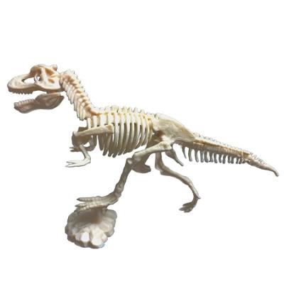 China Wholesale 23x6x3cm Archaeological Skeleton Hand-assembled Model Of DIY Excavation Simulation Dinosaur Fossils for sale