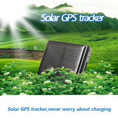 China GPS Tracking Solar Powered Horse Cow Sheep Livestock Security Gps Tracker for sale