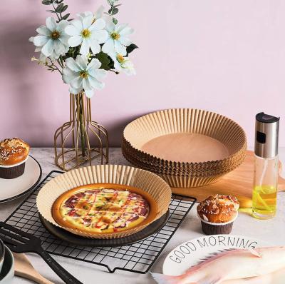 China Air Viable Air Fryer Household Waterproof and Oil Proof Barbecue Mat Paper Silicone Oil Cooking Oil Proof Pad for sale