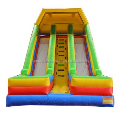 China Backyard Inflatable Water Slide 2 Lanes and Pools Kids Water Playground Park Games Slide for sale