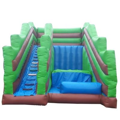 China Unisex Family Garden Inflatable Slide Game CE Blower and Repair Accessories Included for sale