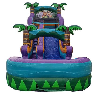 China Inflatable Rainforest Castle with Slide and Pool Slide Water Inflatable Castle Combo for sale