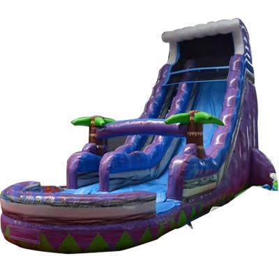 China 2023 Promotion Steep Landslide Magic Palm Tree Water Purple Slide Inflatable with Pool for sale