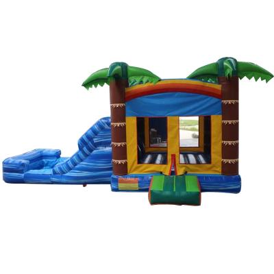 China Repair Kits Included Adult Size Inflatable Jumping Castles with Water Slide and Pool for sale