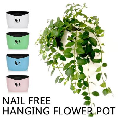 China Nail Free Colorful Plastic Flower Pot Vase For Decoration for sale