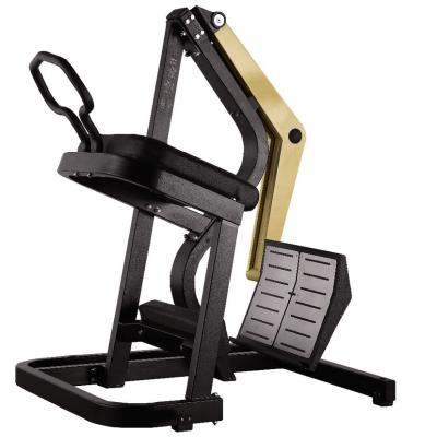 China YG universal fitness commercial is the most popular pure strength machine gym use back kick gym equipment-3005 for sale