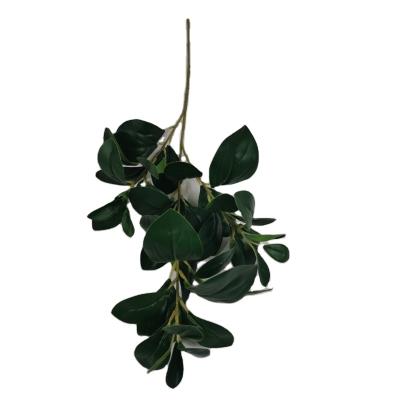 China Indoor Home and Garden Decoration Plastic Wholesale Green Leaf for sale