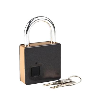 China 2020 Fingerprint Zinc Alloy Padlock Smart Locker Locker With USB Charging for sale