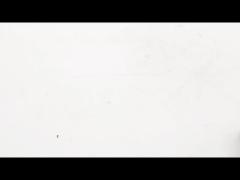 Revolutionize Your Builds NEMA 17 Ball Screw Stepper Motor Breakdown