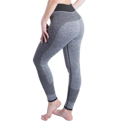 China OEM Hotselling Antibacterial Sports Women's Yoga Leggings Seamless Fitness Tights Female Tights for sale