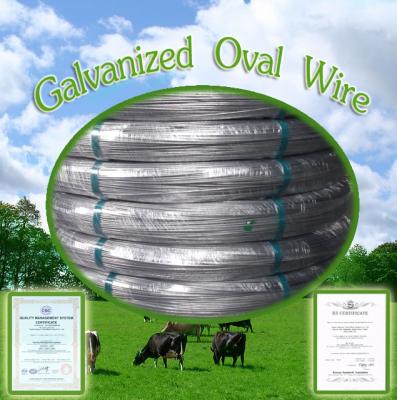 China FENCE (29 YEARS FACTORY) OVAL GALVANIZED WIRE BARRIER FOR SOUTH AMERICA for sale