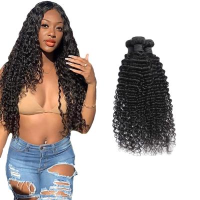 China Raw Brazilian Mink Cuticle Aligned Human Hair Vendors Grade 10A Virgin Hair Deep Curly Bundles Deep Curly Hair for sale