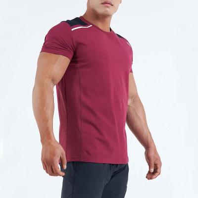 China Anti-Wrinkle Mens Crewneck Tee Tops Custom Short Sleeve Breathable Sport Fitness Muscle Muscle Running Gym T-Shirt for sale