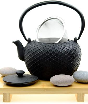 China Sustainable Cast Iron Teapot 0.8L Japanese Style Teapot Black Kettle for sale