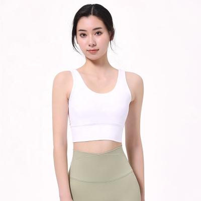 China Custom Brand Breathable Fitness Bra Private Label Women Plus Size Sports Seamless Back Sexy Gym Yoga Running Bra for sale