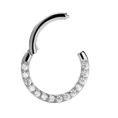 China ASTM F136 Cute Titanium Hinged Segment Ring With Prong Set CZ for sale