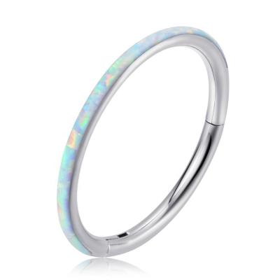 China 316L Cute Nose Ring Ear Piercing Jewelry from Stainless Steel Opal Hinged Clicker Segment Ring for sale