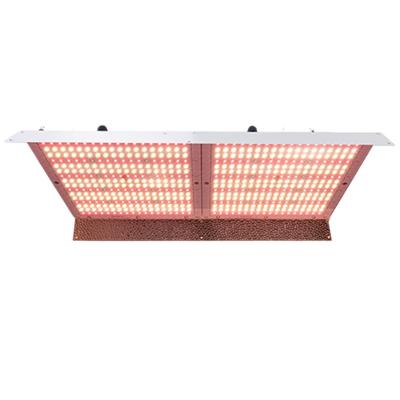 China Seed Starting Eason Professional Lighting High Power Indoor Plant Horticultural Lighting Led Grow Lights 380W For Indoor Plants Veg Flower for sale