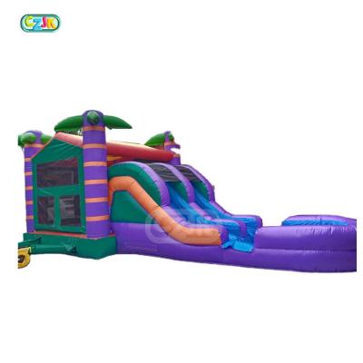 China 0.55mm PVC Tarpaulin Jumper Plato Castle Palm Trees Inflatable Jumping Toddler Adult Inflatable Aerial Tropical House Inflatable Bounce For Sale for sale