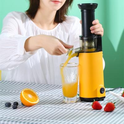 China Popular portable design cold pressed slow juicer is easy to assemble and clean manual juicer for sale