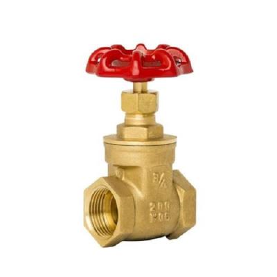 China General BSP NPT Brass Gate Valve for sale