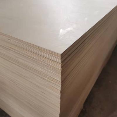 China Modern JIA MU JIA For Furniture Cabinet 3/4 Birch Plywood 4x8 Plywood 18mm Sheet EPA Wood Carburetor for sale