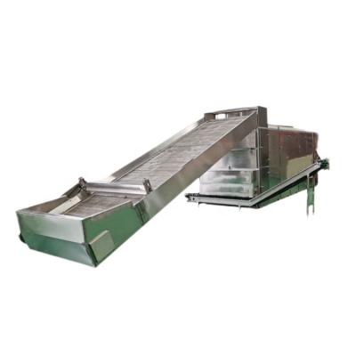 China Chemicals Processing DW Series Belt Dryer Chemical Fiber Plastic Food Dehydrated Vegetable Flower Drying Equipment for sale